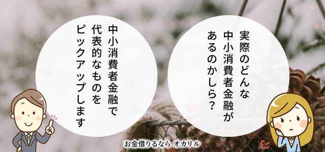 キャッシングの審査が通りやすい借入10万円未満で金利20%の中小消費者金融